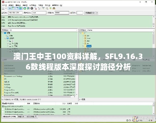 澳门王中王100资料详解，SFL9.16.36数线程版本深度探讨路径分析