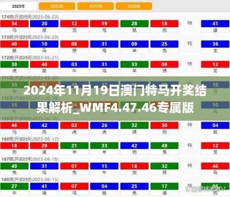 2024年11月19日澳门特马开奖结果解析_WMF4.47.46专属版