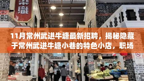 揭秘常州武进牛塘小巷特色小店，职场新机遇与最新招聘信息全解析！