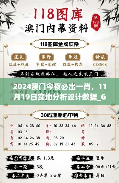 2024澳门今夜必出一肖，11月19日实地分析设计数据_GGT6.41.63智力版本