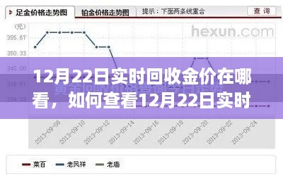 12月22日实时回收金价查询指南，初学者与进阶用户必看