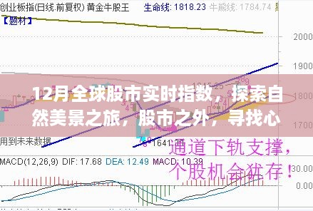 股市与自然美景，探索股市动态与心灵宁静之旅