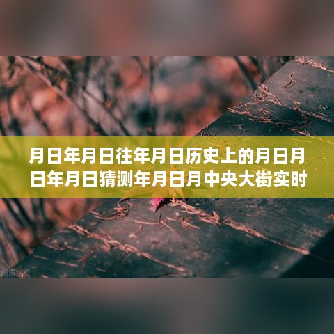 穿越时光尘埃，探寻月下宁静之旅，历史与自然美景交融的月中央大街