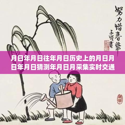 实时交通数据智能采集系统评测，产品特性与用户体验深度探索