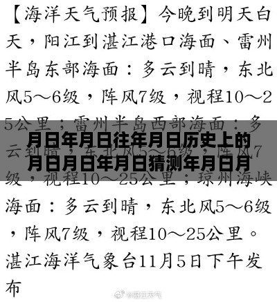 湛江圆规台风路径实时更新，探秘历史巷弄风味秘境，特色小店揭秘