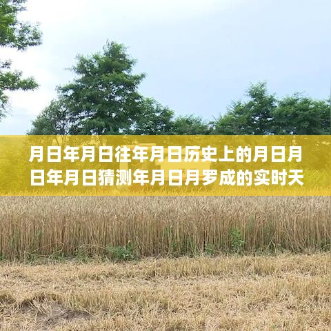 罗成天气预报系统评测及历史气象数据分析，实时数据与历史的深度解读