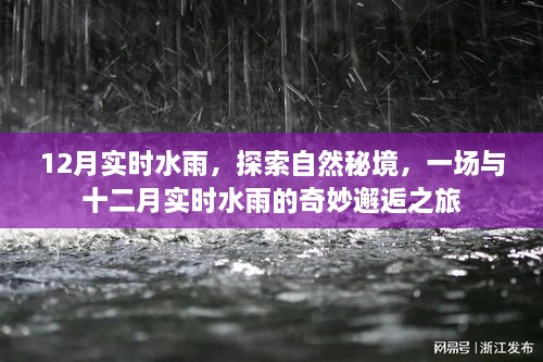 十二月实时水雨，自然秘境的奇妙邂逅之旅