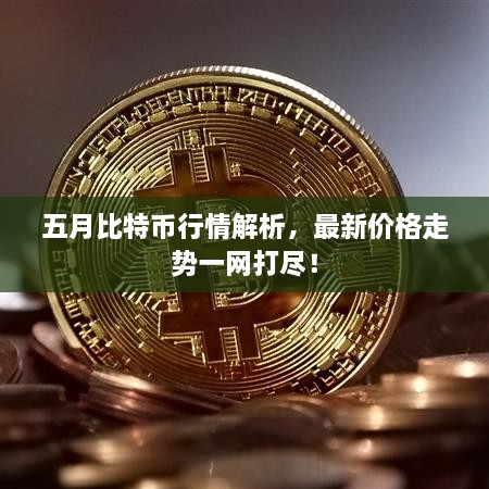 五月比特币行情解析，最新价格走势一网打尽！