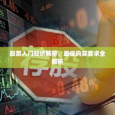 股票入门知识解析，最低购买要求全解析