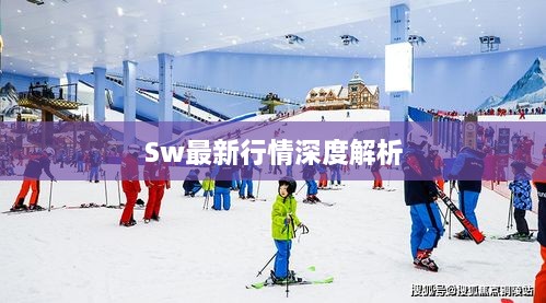 Sw最新行情深度解析