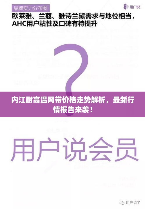 内江耐高温网带价格走势解析，最新行情报告来袭！