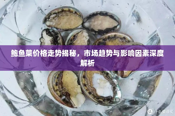 鲍鱼菜价格走势揭秘，市场趋势与影响因素深度解析