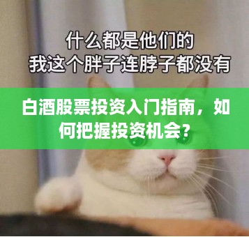 白酒股票投资入门指南，如何把握投资机会？