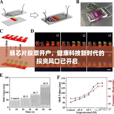 肠芯片股票开户，健康科技新时代的投资风口已开启