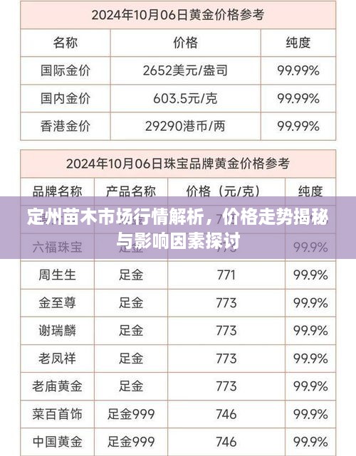 定州苗木市场行情解析，价格走势揭秘与影响因素探讨