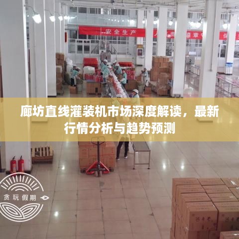 廊坊直线灌装机市场深度解读，最新行情分析与趋势预测