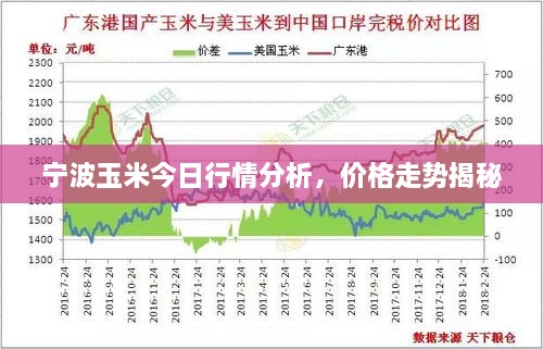 宁波玉米今日行情分析，价格走势揭秘