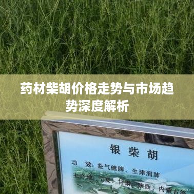 药材柴胡价格走势与市场趋势深度解析