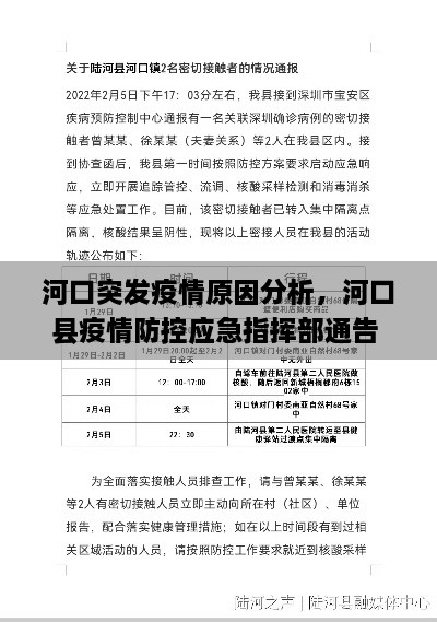 河口突发疫情原因分析，河口县疫情防控应急指挥部通告 