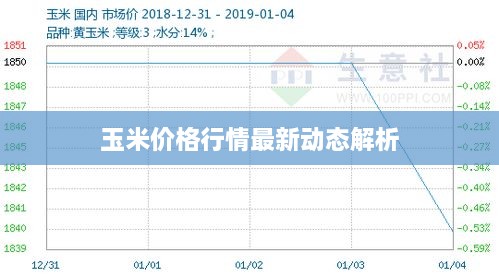 玉米价格行情最新动态解析