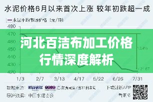 河北百洁布加工价格行情深度解析
