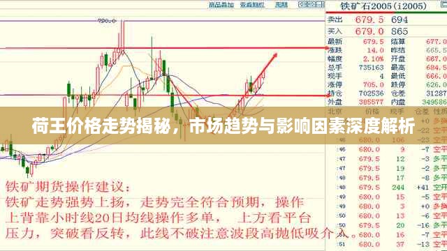 荷王价格走势揭秘，市场趋势与影响因素深度解析