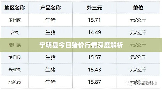 宁明县今日猪价行情深度解析