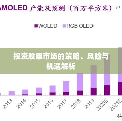 投资股票市场的策略、风险与机遇解析