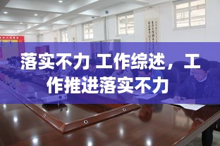 落实不力 工作综述，工作推进落实不力 