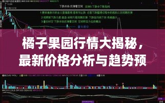 橘子果园行情大揭秘，最新价格分析与趋势预测