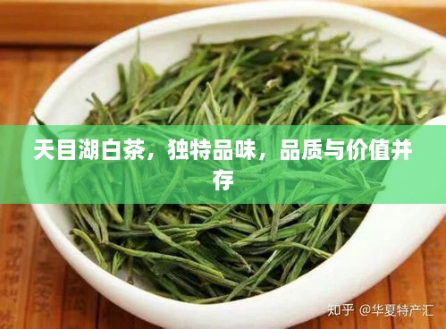 天目湖白茶，独特品味，品质与价值并存