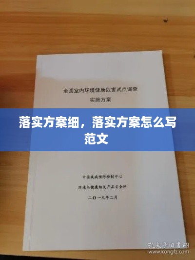 落实方案细，落实方案怎么写范文 