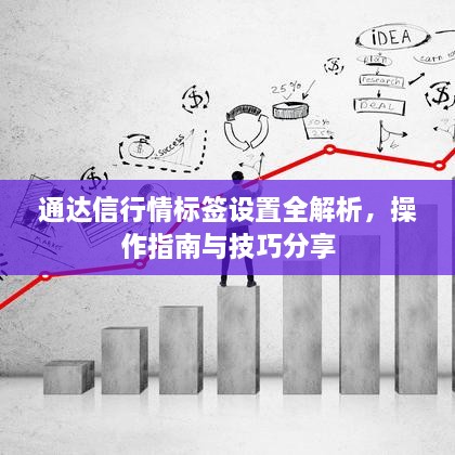 通达信行情标签设置全解析，操作指南与技巧分享