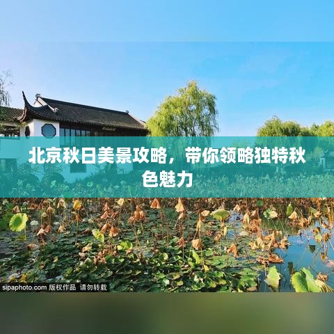 北京秋日美景攻略，带你领略独特秋色魅力