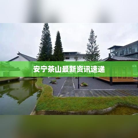 安宁茶山最新资讯速递
