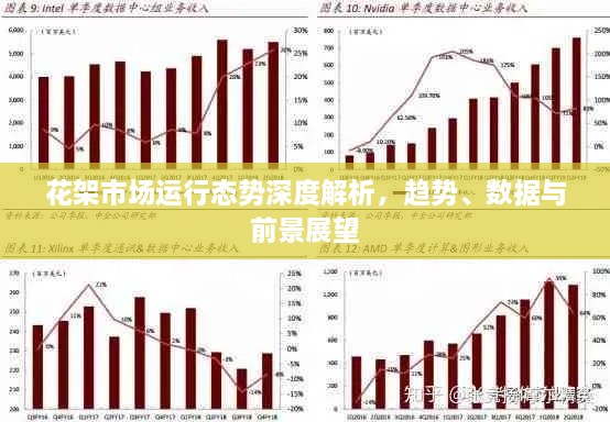 花架市场运行态势深度解析，趋势、数据与前景展望