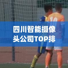 四川智能摄像头公司TOP排名榜单揭晓！