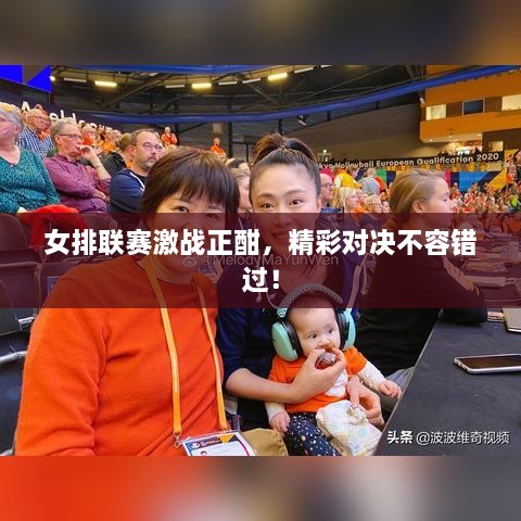 女排联赛激战正酣，精彩对决不容错过！