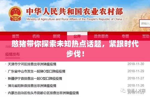 产品中心 第84页