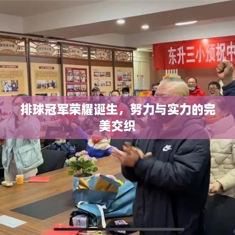 排球冠军荣耀诞生，努力与实力的完美交织