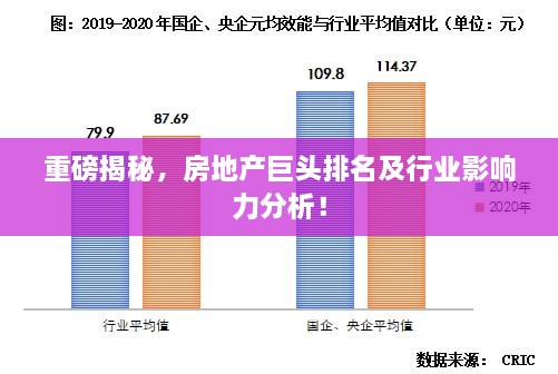 重磅揭秘，房地产巨头排名及行业影响力分析！