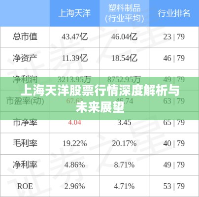 上海天洋股票行情深度解析与未来展望