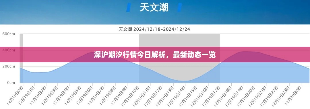 深沪潮汐行情今日解析，最新动态一览