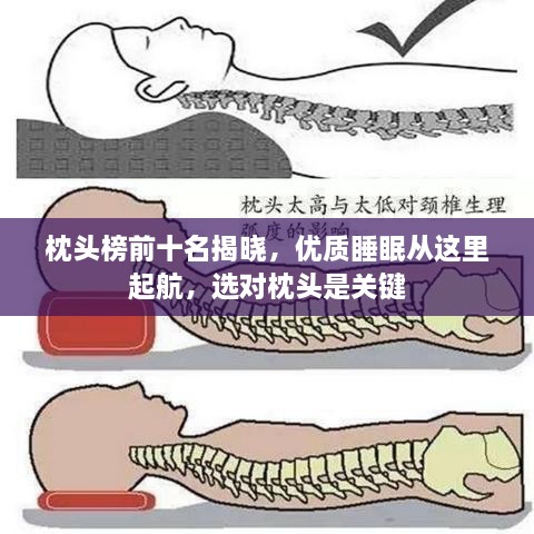 枕头榜前十名揭晓，优质睡眠从这里起航，选对枕头是关键