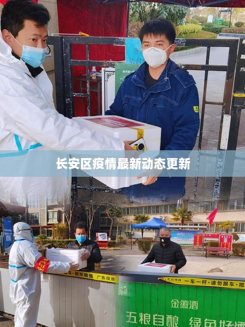 长安区疫情最新动态更新