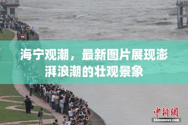 海宁观潮，最新图片展现澎湃浪潮的壮观景象