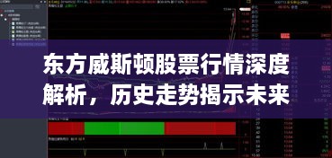 东方威斯顿股票行情深度解析，历史走势揭示未来投资机遇
