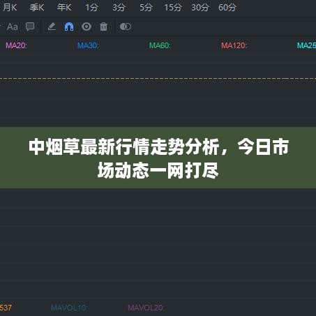 中烟草最新行情走势分析，今日市场动态一网打尽