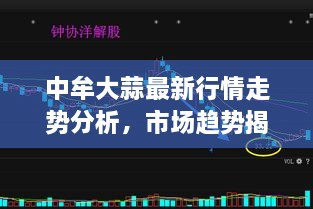 购车流程 第48页
