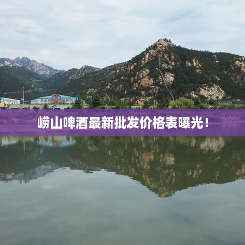 崂山啤酒最新批发价格表曝光！